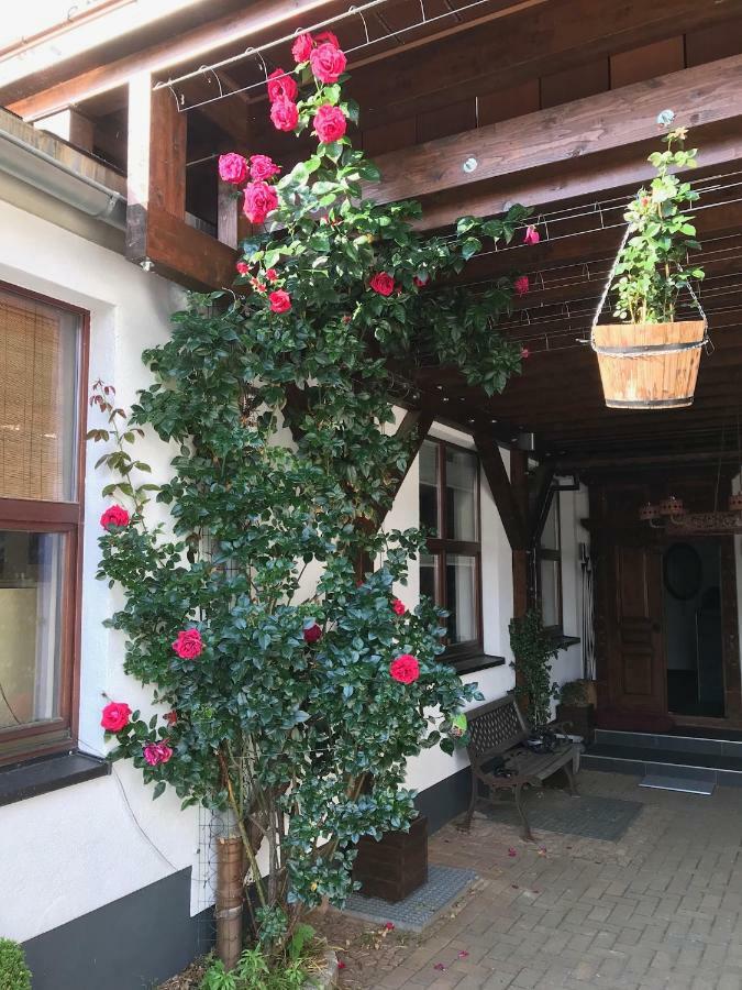 Wieko Ferienwohnungen Plauen Bagian luar foto