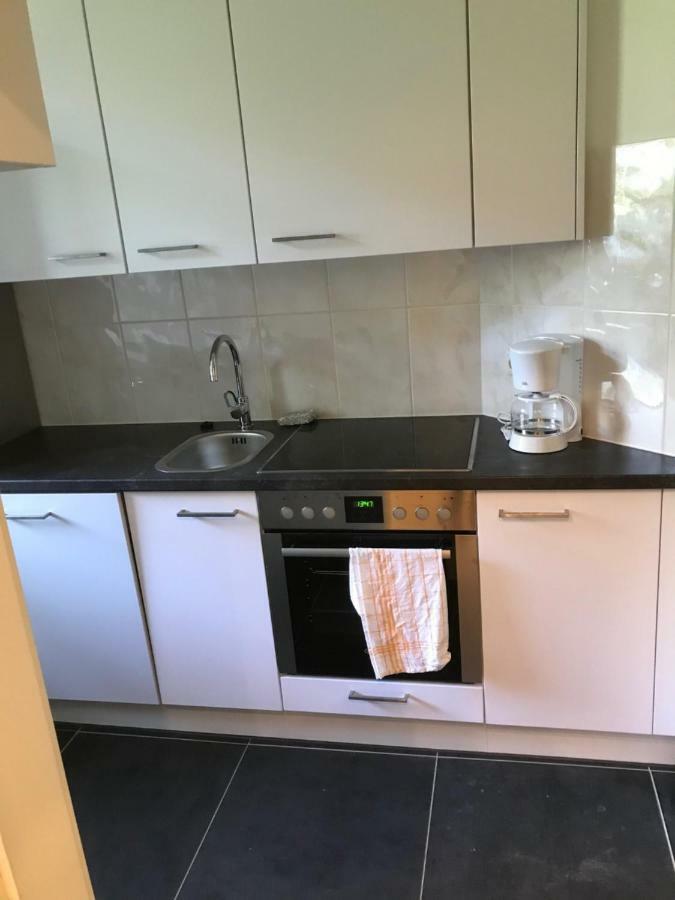 Wieko Ferienwohnungen Plauen Bagian luar foto